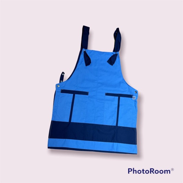 Estola multicolore bleue